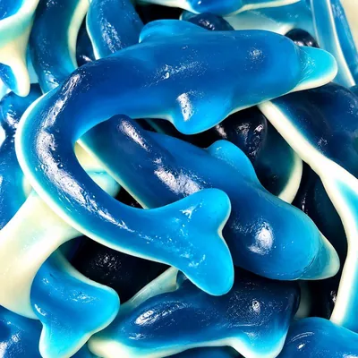 Dauphins géants bleus et blancs