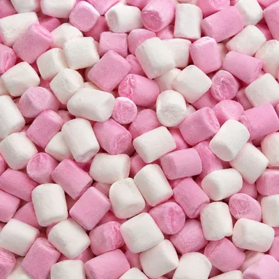 Mini marshmallows roses et blancs (Finitronc Toppings)