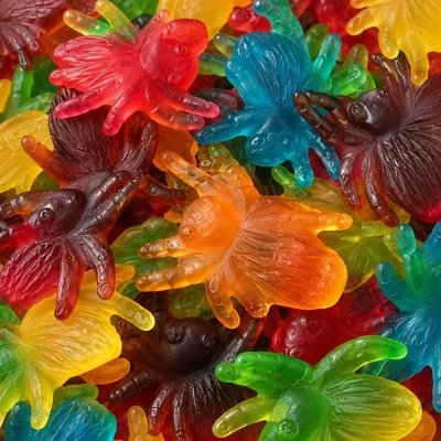 Mygales géantes : araignées gélifiées multicolores