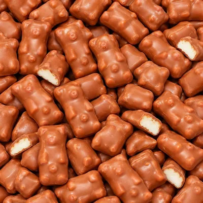 Ti'nounours chocolat au lait Verquin